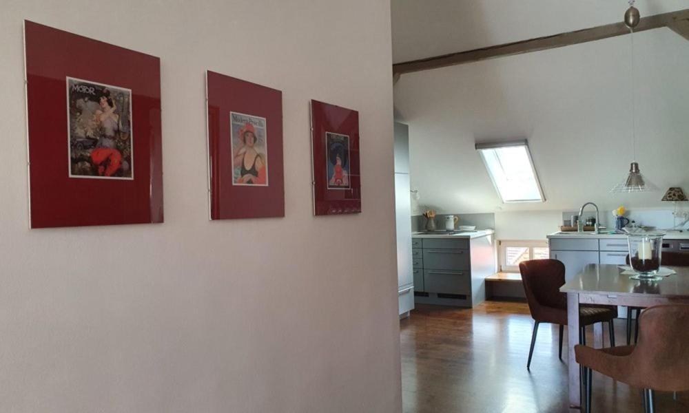 Loggiahaus Am Schloss, 5 Ferienwohnungen, Teils Mit Schloss- Und Seeblick ラインスベルク エクステリア 写真