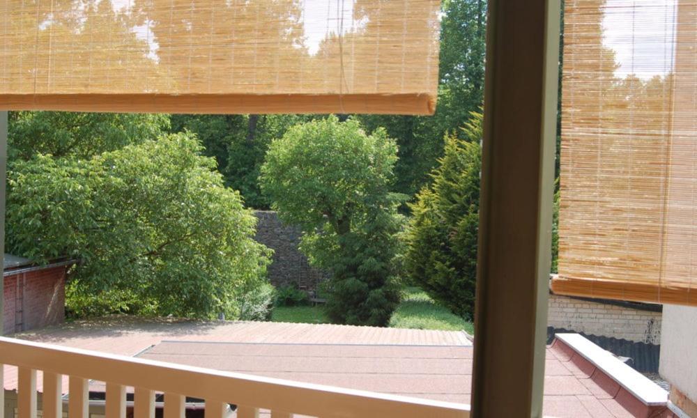 Loggiahaus Am Schloss, 5 Ferienwohnungen, Teils Mit Schloss- Und Seeblick ラインスベルク エクステリア 写真