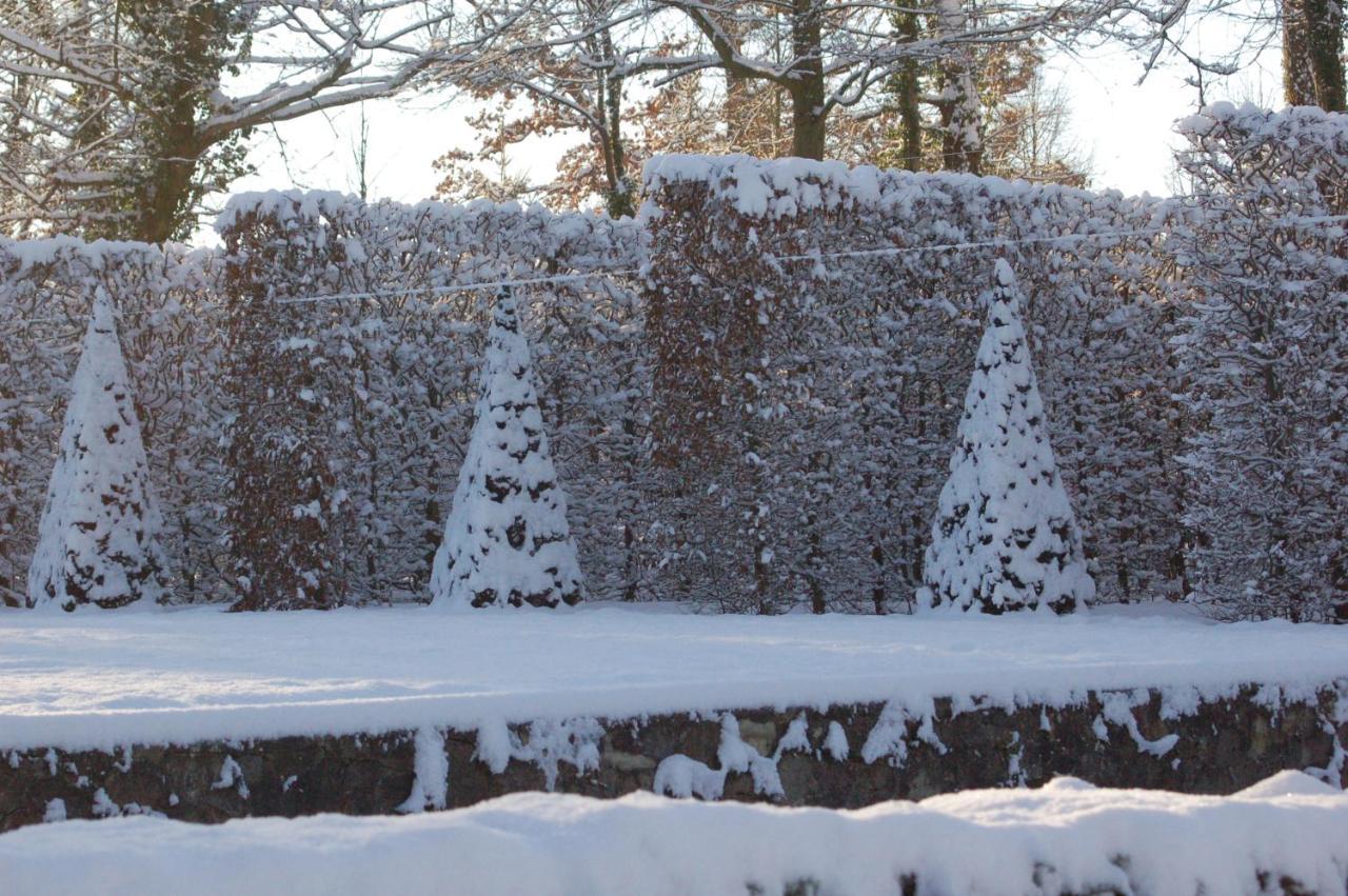 Loggiahaus Am Schloss, 5 Ferienwohnungen, Teils Mit Schloss- Und Seeblick ラインスベルク エクステリア 写真