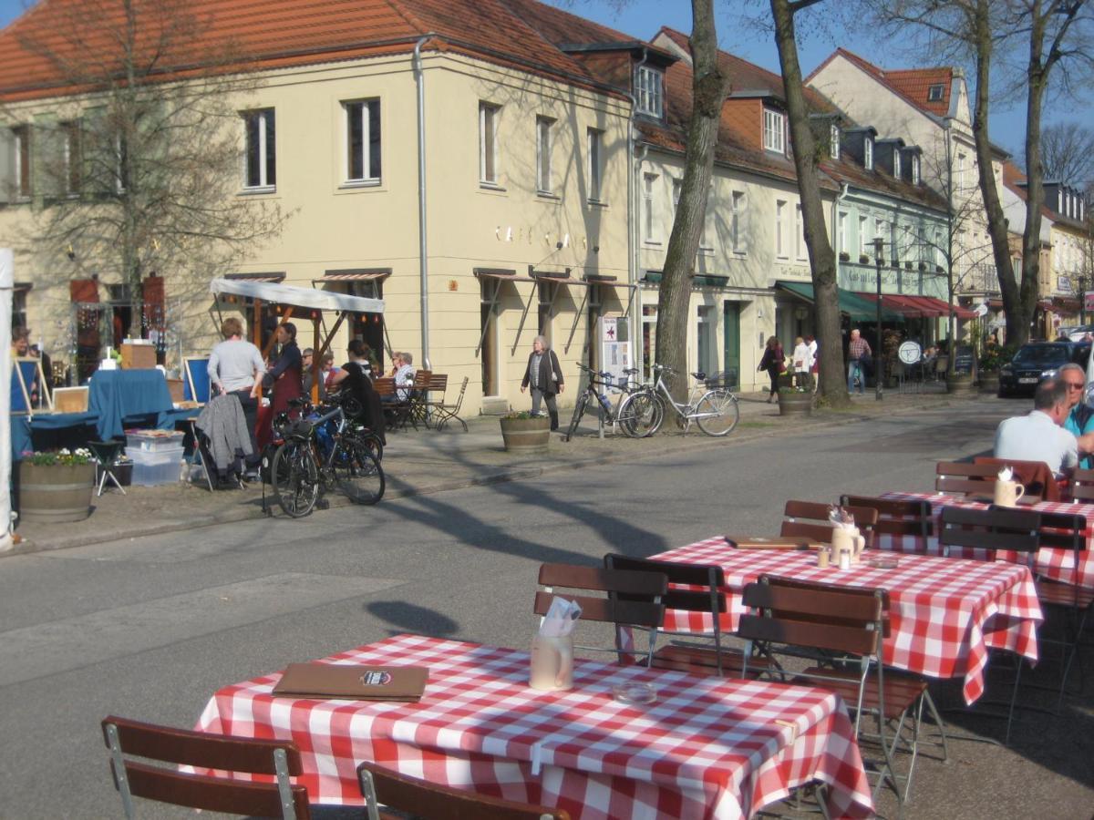 Loggiahaus Am Schloss, 5 Ferienwohnungen, Teils Mit Schloss- Und Seeblick ラインスベルク エクステリア 写真